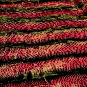 Claret Mamba and Fuschia Seal travel sized/lap sized minky blanket